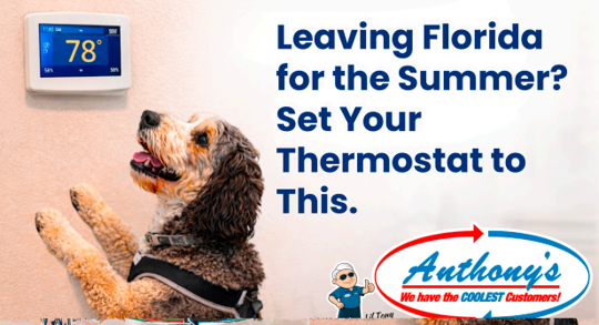 A dog looks up at a digital thermostat displaying 78 degrees. Text on the image reads: "Leaving Florida for the Summer? Set Your Thermostat to This." An Anthony's logo is also visible.